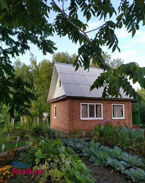 дом дача омске. дом дача омске. дом дача омске. дача на берегу иртыша. 102 дачи.