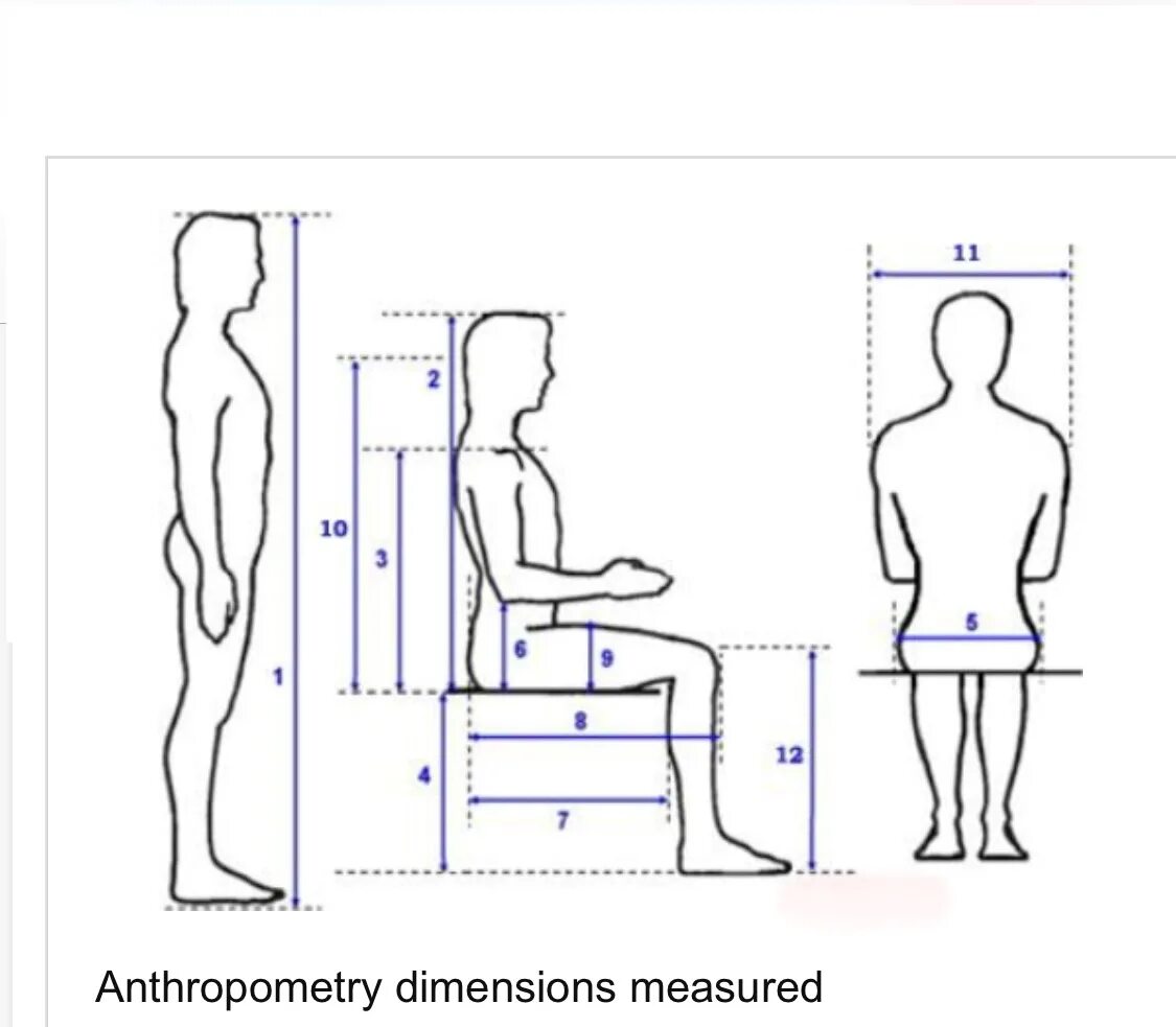 Пропорции человека сидящего на стуле. Человек сидит на стуле. Эргономика человека. Сидящий человек рисунок.
