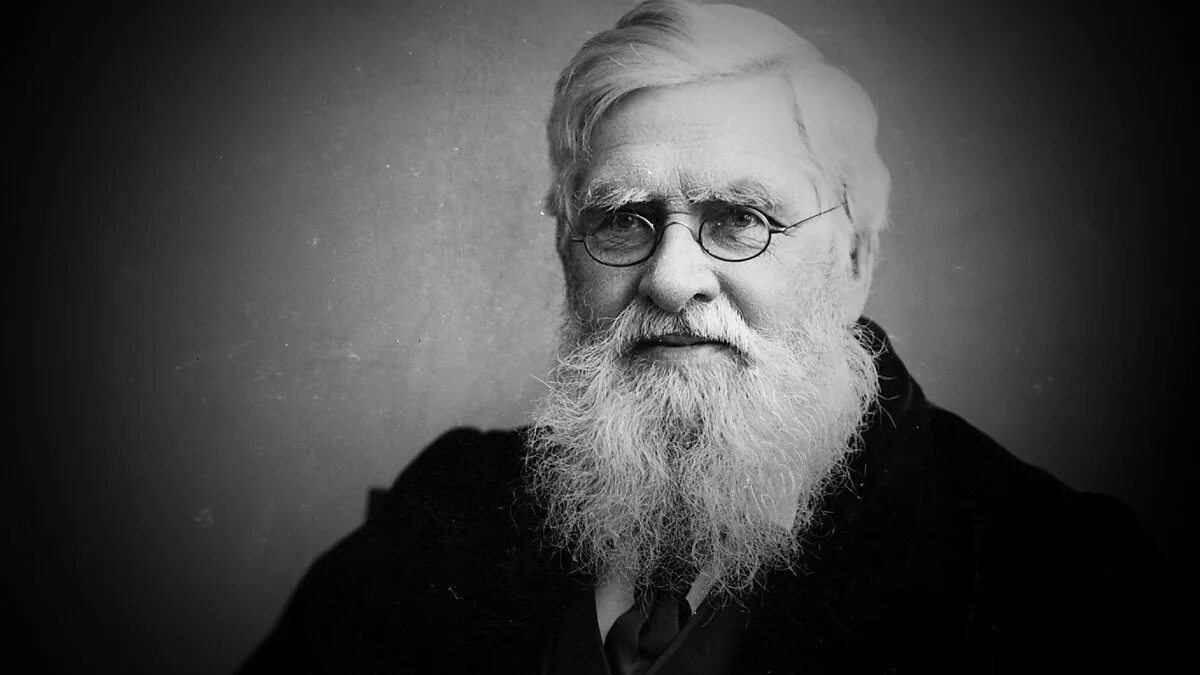 Уоллес ученый. Рассел уоллес. Биография уоллес. Уоллес биолог. Биография уоллес.