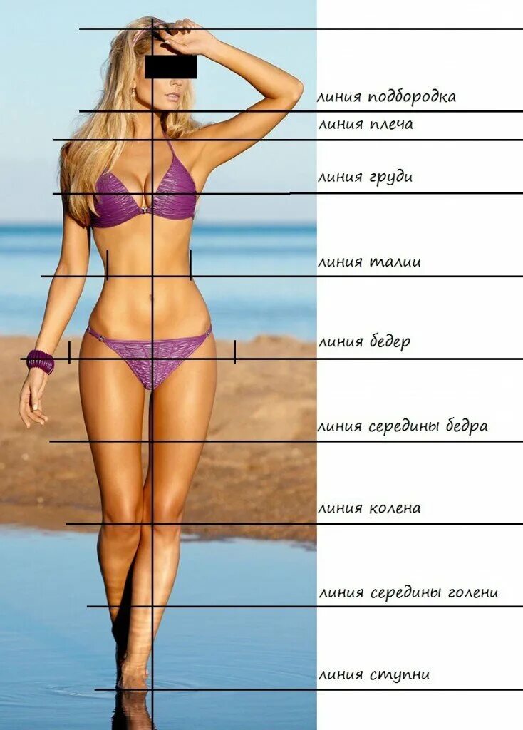 Какая может быть фигура описание. Идеальные параметры женской фигуры. Идеальные пропорции женской фигуры. Идеальные женские бедра. Красивые пропорции женского тела.