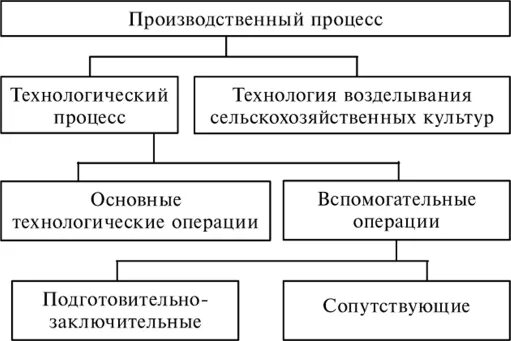 Характеристика производственного процесса. Основные и вспомогательные производственные процессы. Схема производственного процесса. Характеристика производственного процесса на предприятии. Основные и вспомогательные производственные операции