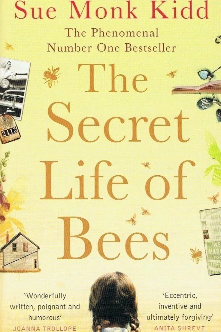 Сью монк кидд. Сью монк кидд книги. the secret life of bees. тайная жизнь пчел сью монк кидд. тайная жизнь пчел книга.