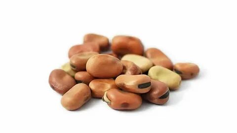 Bean 1