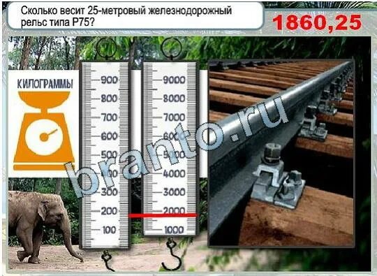 Рельса вес 1 метра. Вес рельсы 1 метр. Вес 1м рельса железнодорожного 65. Рельс ЖД вес 1 метра. Сколько весит рельсы жд