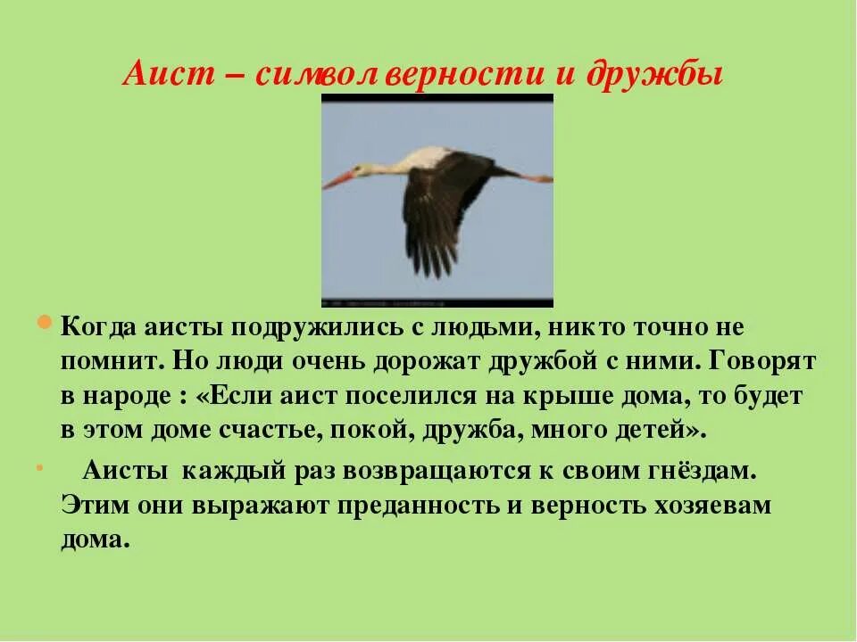 Аист у многих народов план. Аист для презентации. аист интересные факты для детей. поговорки про аистов. интересные факты о аистах сообщение.