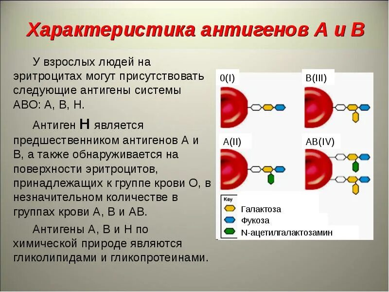 Эритроциты аво