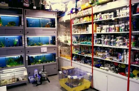 В каком зоомагазине