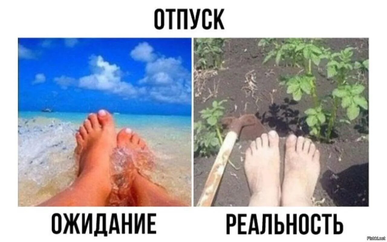 Отпуск ожидание и реальность. Лето ожидание реальность. Отпуск ожидание и реальность картинки. Приколы про море ожидание и реальность. В следующем году буду летом