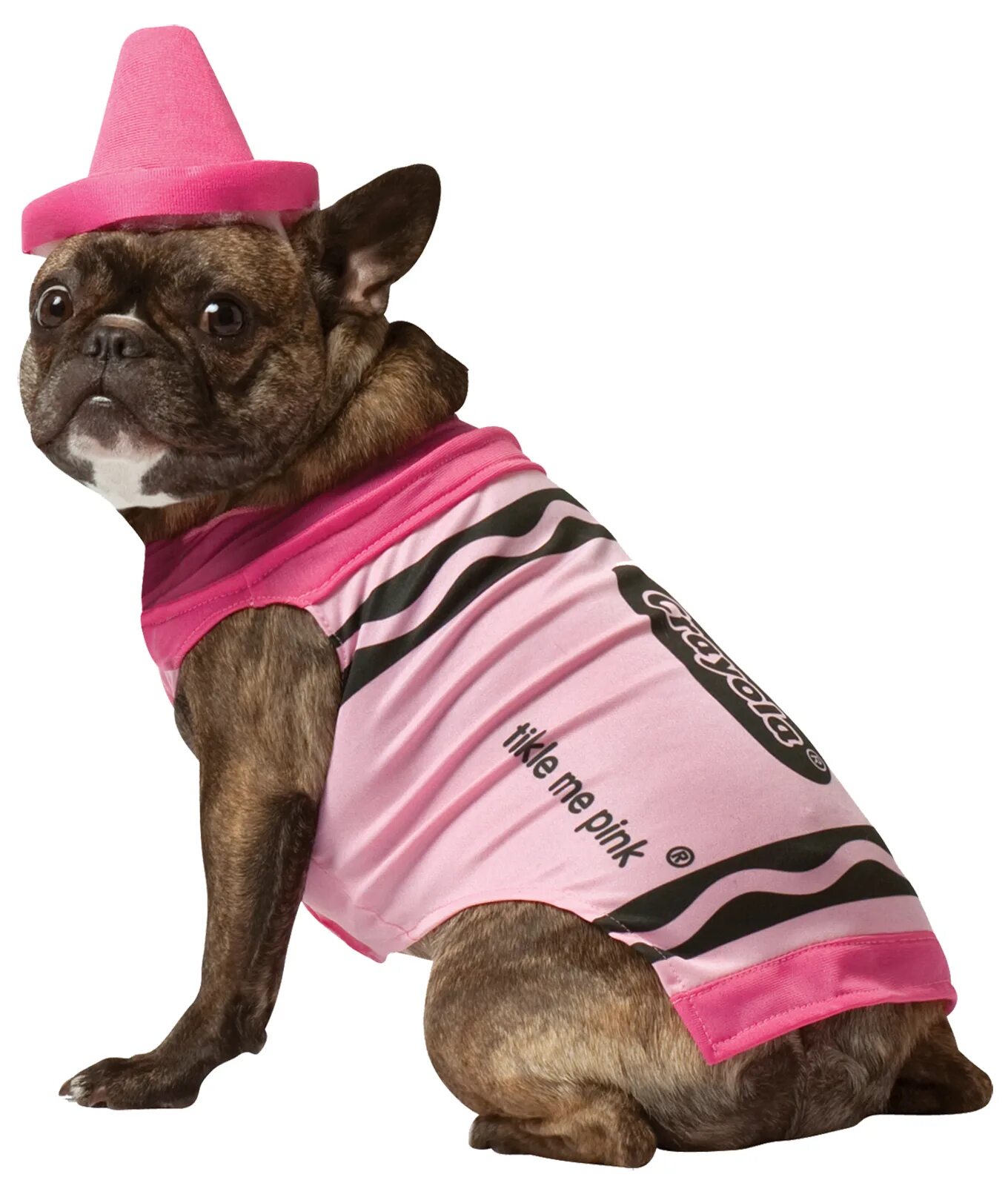Раста костюм для собаки. Костюм для собаки заказать. Черно розовый костюм для собаки. Туника для собак. Pink pets