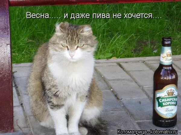 Просто ничего не хочется. Хочется напиться. Маяковский если бьёт дрянной драчун. Даже не хочу. Даже не хочу.