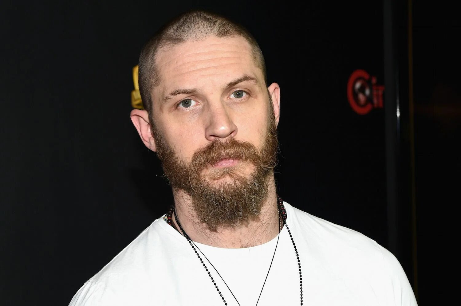 Hardy. Том харди. том харди фото. tom hardy 2025.
