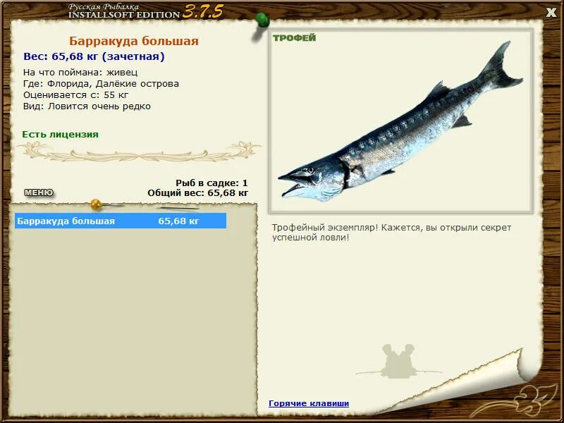 реальная рыбалка барракуда. русская рыбалка 3 самая большая рыба. барракуда размер. сколько весит барракуда. реальная рыбалка барракуда.