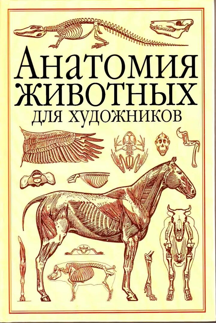 Акаевский анатомия домашних животных. Анатомия животных книги. Акаевский учебник по анатомии. Акаевский анатомия домашних животных. Анатомия животных книги.