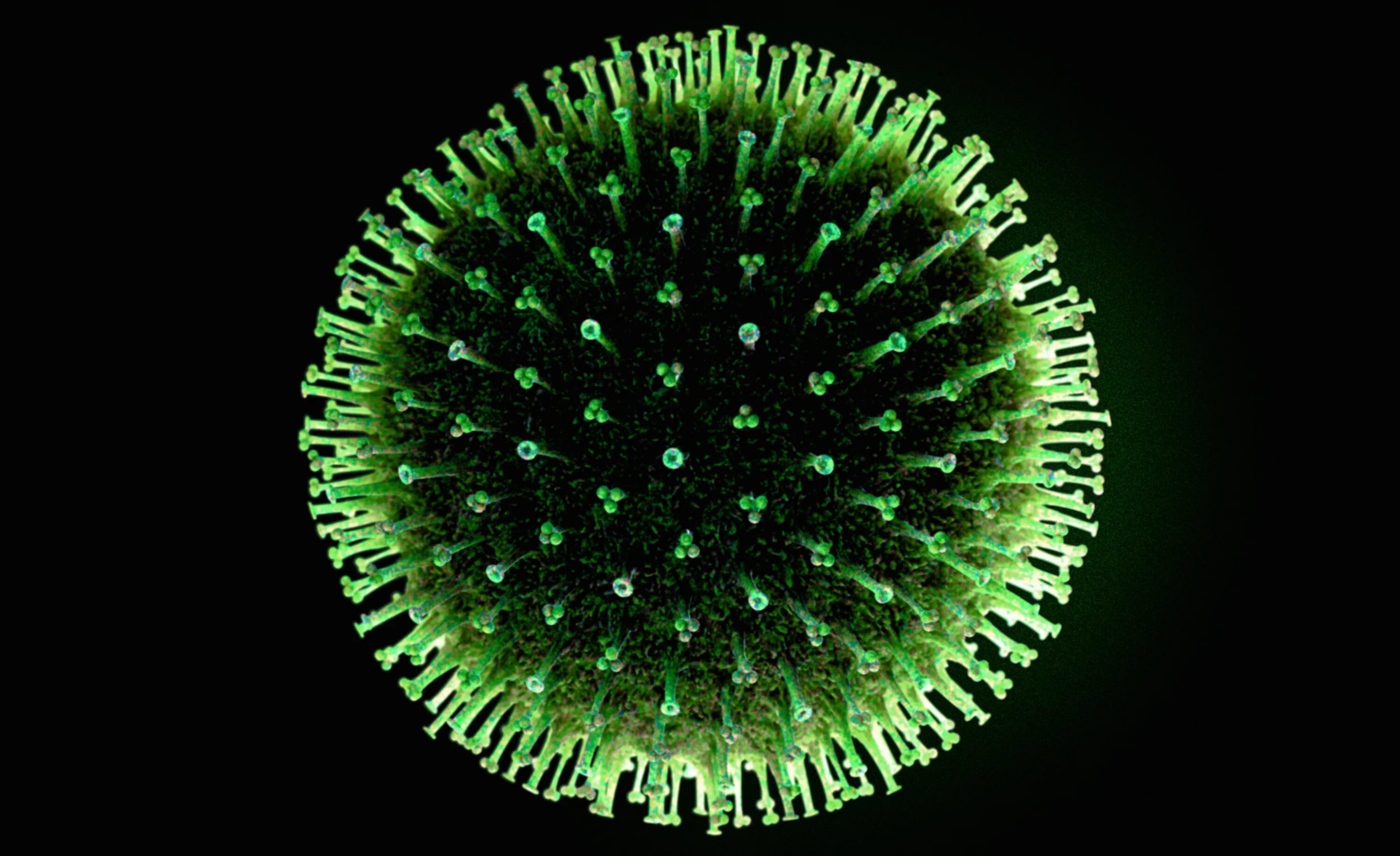 Www virus. Вирус h3n2. Вирусы фото. Вирус круглый. Изображение вируса.