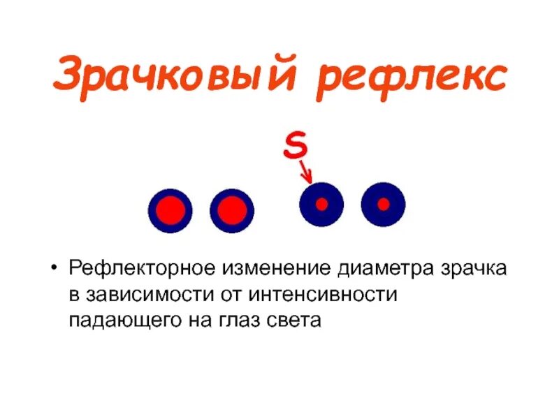 Рефлекс зрачка. Патология зрачкового рефлекса. Расширение и сужение зрачка рефлекс. Зрачковый рефлекс физиология.