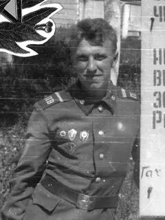 Дмб 85