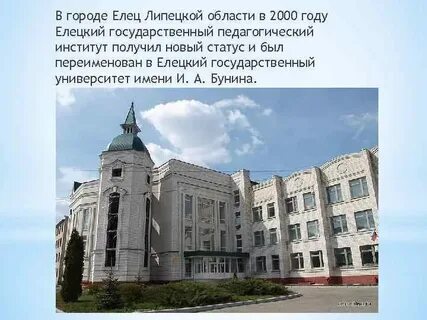 Институты г елец