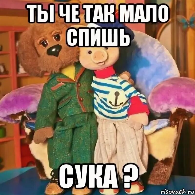 Че так мало не хочешь. Ты че не спишь сука мем. хрюша мем. хрюша что так мало.
