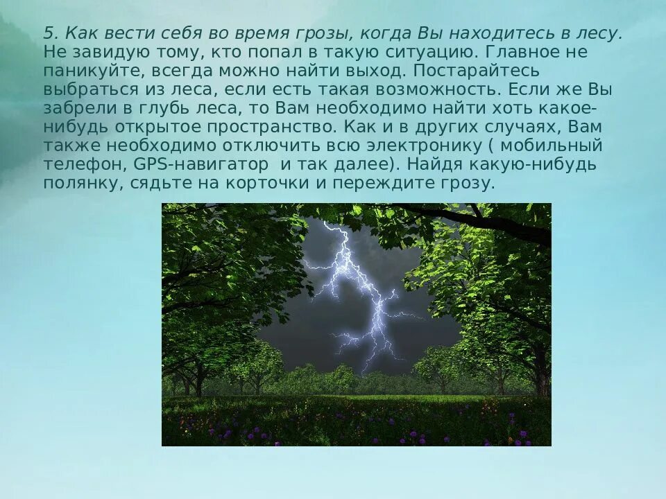 Можно сидеть в телефоне в грозу. Как вести себя во время грозы. Как ввети себя во время грозы. Как вести себя в грозу. Как вести себя в грозу в лесу.