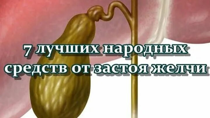 Желчь лечение народными средствами. Препараты для разжижения желчи. Лекарство от застоя желчи в желчном пузыре. Желчегонное народное средство при застое желчи. Лекарство от застоя желчи в желчном пузыре народные средства.