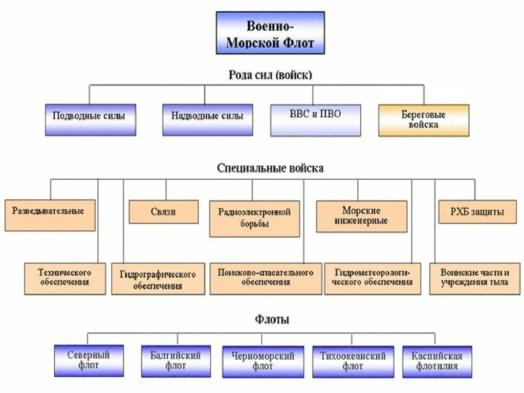 Назови главных действующих. Структура ВМФ РФ 2021. Структура ВМФ РФ рода войск. Организационно штатная структура ВМФ России. Структура ВМФ РФ 2020.