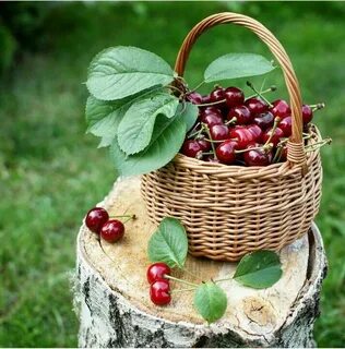 Вкус лета ягоды