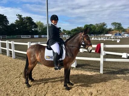 Equestrian перевод
