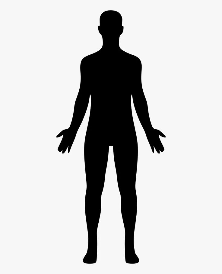 Human picture. Силуэт человека. Фигура человека. Силуэт мужского тела. Контур тела человека.