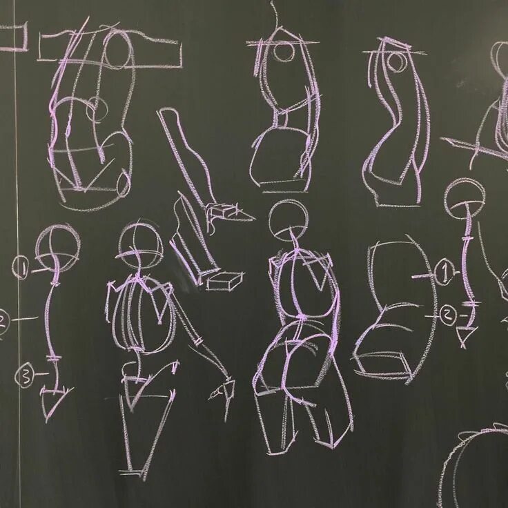 In the practical anatomy class we