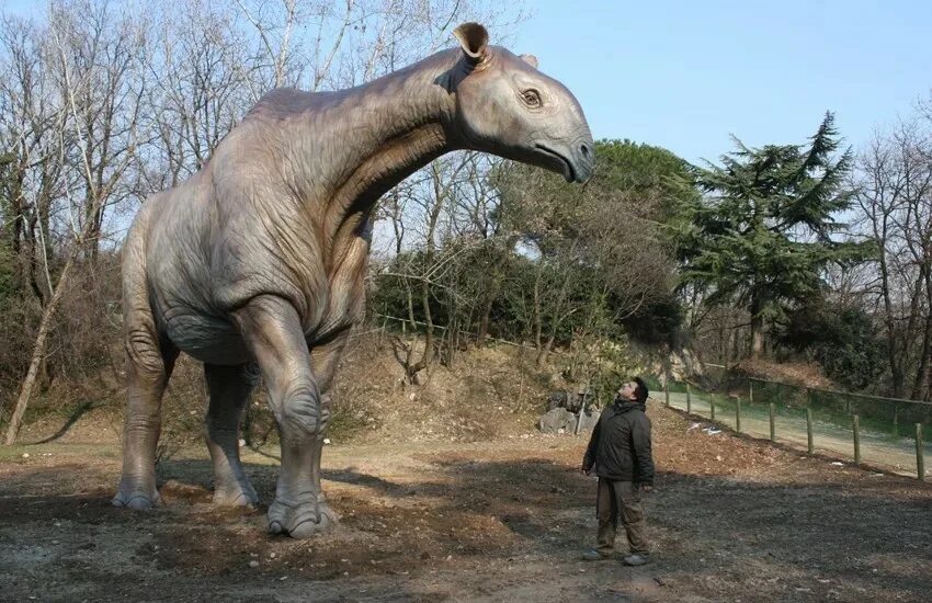 африканский элефант слон. самое большое из современных сухопутных животных. диплодок аргентинозавр. пакицет древний кит. лесной слон палеолоксодон.