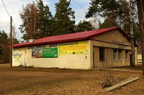 Сосновый магазин