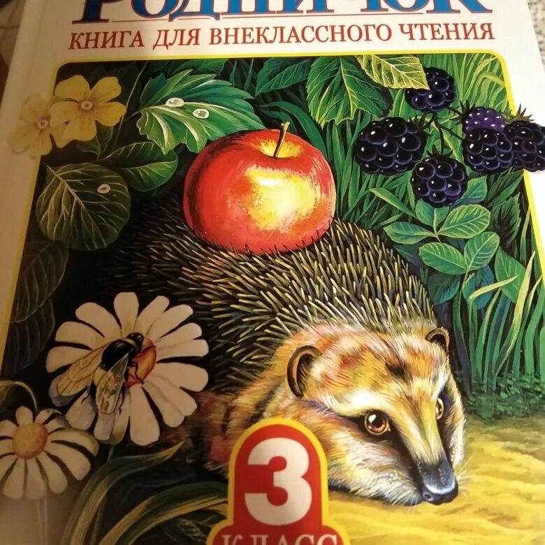 Родничок 3 класс. Книга Родничок 3 класс. Учебник Родничок 3 класс. Родничок 3 класс читать.