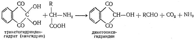 Глицин и гидроксид натрия реакция. Глицин нингидрин схема реакции. Глицин и нингидрин реакция. Глицин с нингидрином реакция. Нингидриновая реакция с глицином.