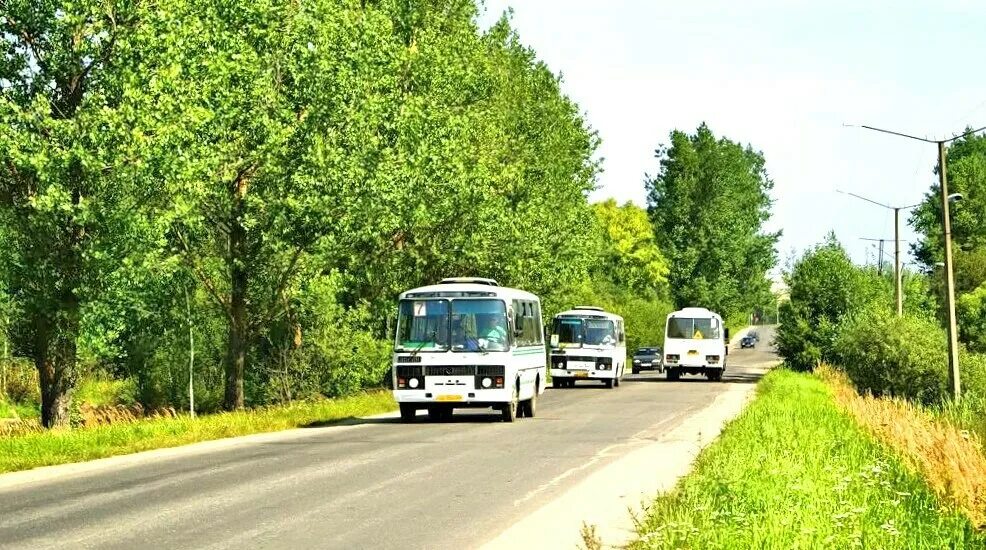 Сев маршрутки. Сельский автобус. ПАЗ В деревне. Автобус для сельской местности. Автобус ПАЗ на дороге.