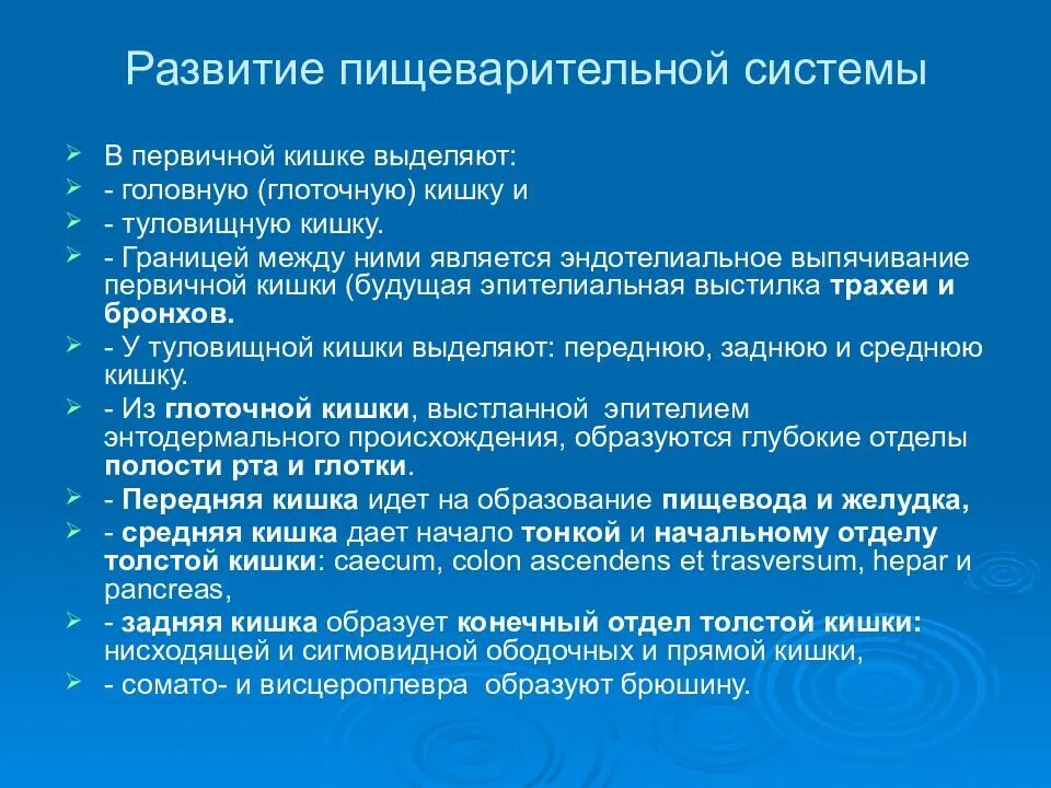 Формирование пищеварительной системы. Кишечная трубка эмбриогенез. Стадии развития кишечной трубки. Онтогенез органов пищеварения у животных. Развитие пищеварительной системы анатомия.