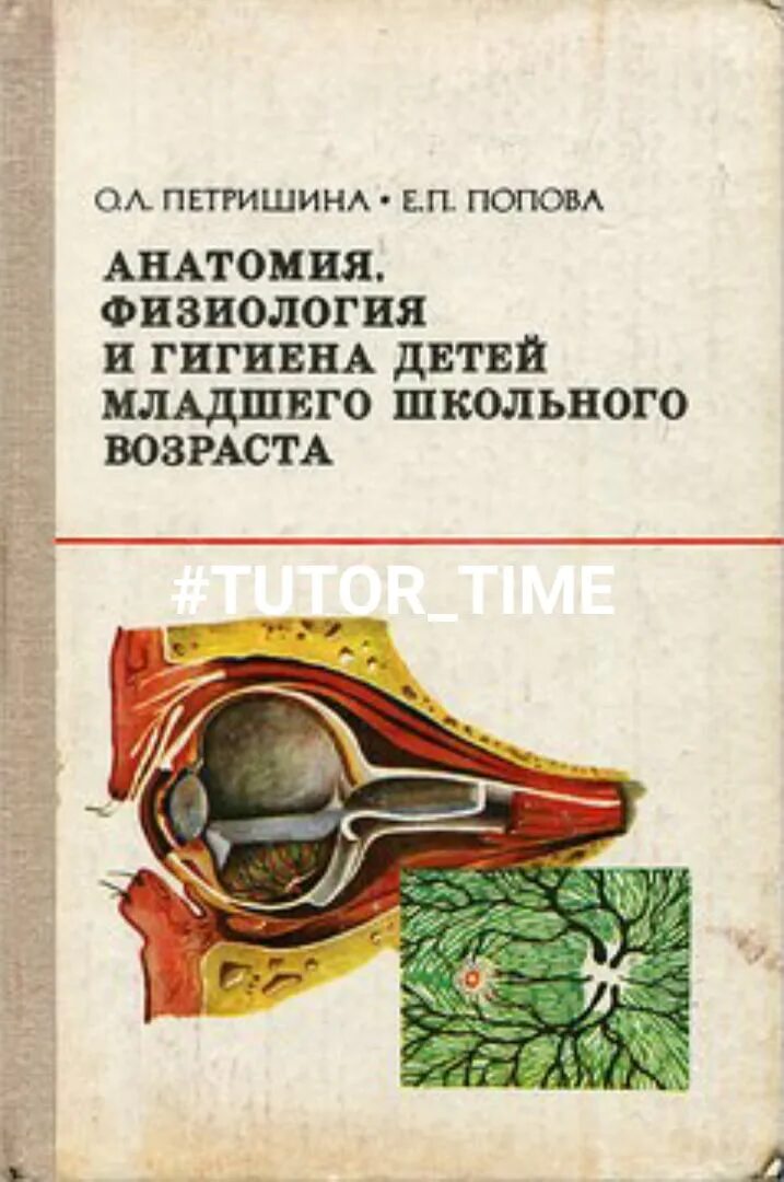 Курсы анатомия физиология и гигиена. Анатомия физиология и гигиена детей. анатомия и физиология младшего школьного возраста. анатомия физиология гигиена. ребенок физиология и гигиена.