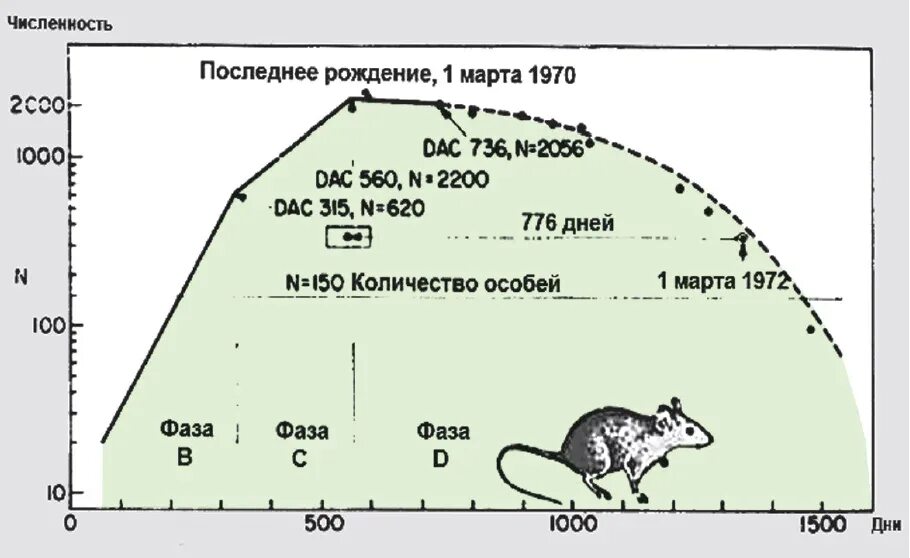 Джон Кэлхун эксперимент. Вселенная 25 эксперимент мышиный рай. Эксперимент Джона Кэлхуна с мышиным раем.