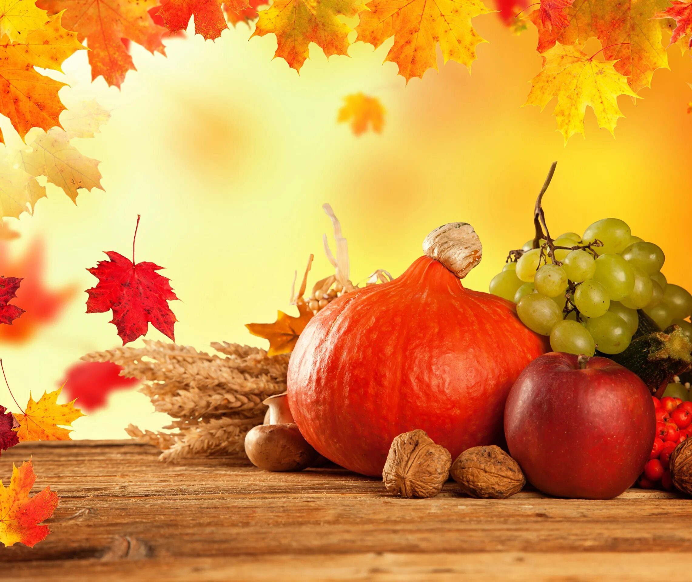 Осенние овощи. Осенний урожай. Осенние дары. Дары осени фон. Осеннее богатство