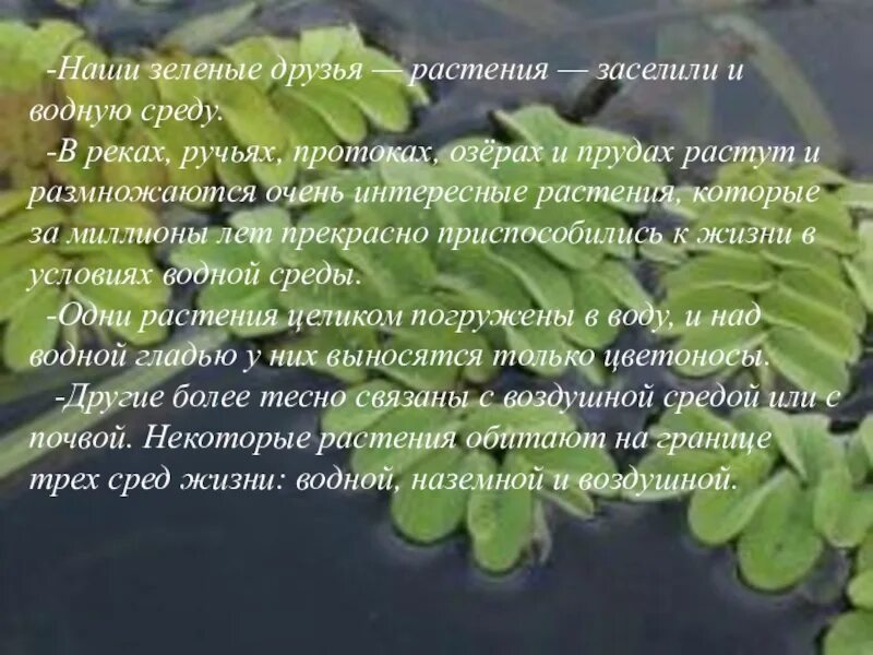 Зеленый день в начальной школе. Тема недели зеленые друзья. Ботаническое лото зеленый друг. Тема недели зеленые друзья. День зеленого цвета в детском саду.