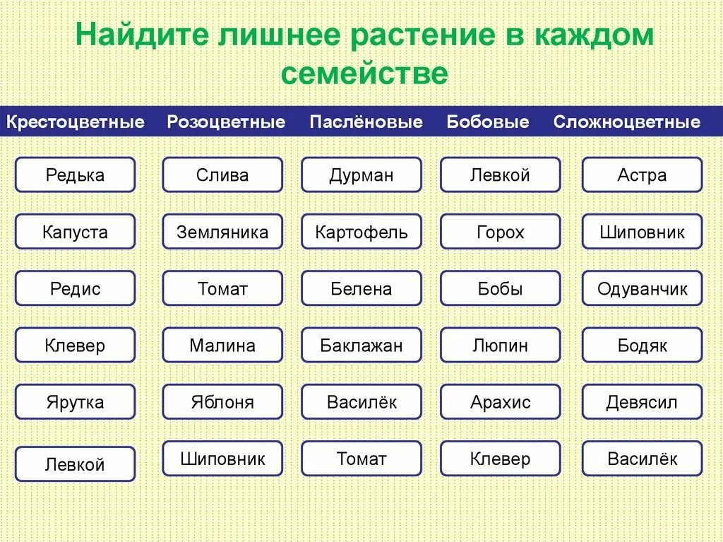 Узнайте следующие формы