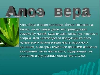 Польза веры