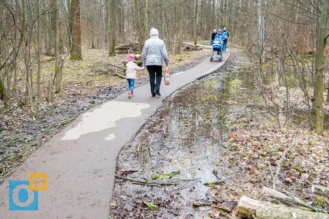Северное города одинцово раскинулся подушкинский лес