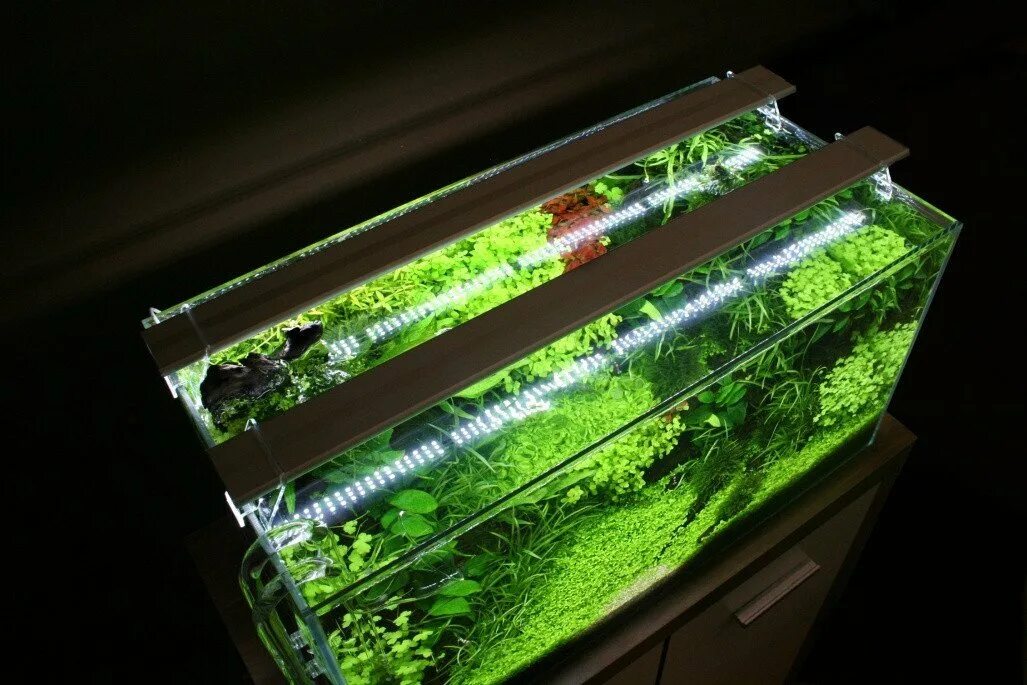 Нужен ли рыбкам свет в аквариуме ночью. Aquarium led 60. Подсветка для аквариума. Светодиодная подсветка для аквариума. Лампа для аквариума светодиодная.