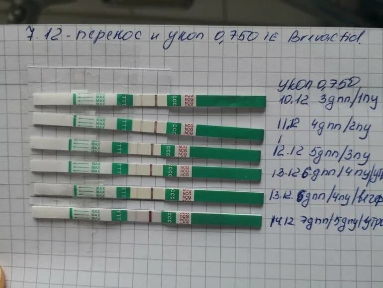 Тесты ДПП пятидневок. 7 ДПП пятидневок тест. ХГЧ на 7 ДПО. 7 День после подсадки тест.