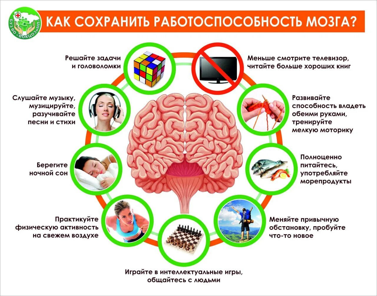 Мозгов получил травму. Работоспособность мозга. Как сохранить работоспособность мозга. Сохранение здоровья мозга. Неделя здоровья головного мозга.