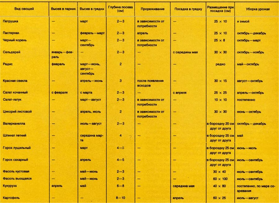 Сроки посадки овощей. Сроки посадки овощных культур. Расстояние между посадкой овощных культур. Интервал посадки овощей таблица. Расстояние посадки овощей.