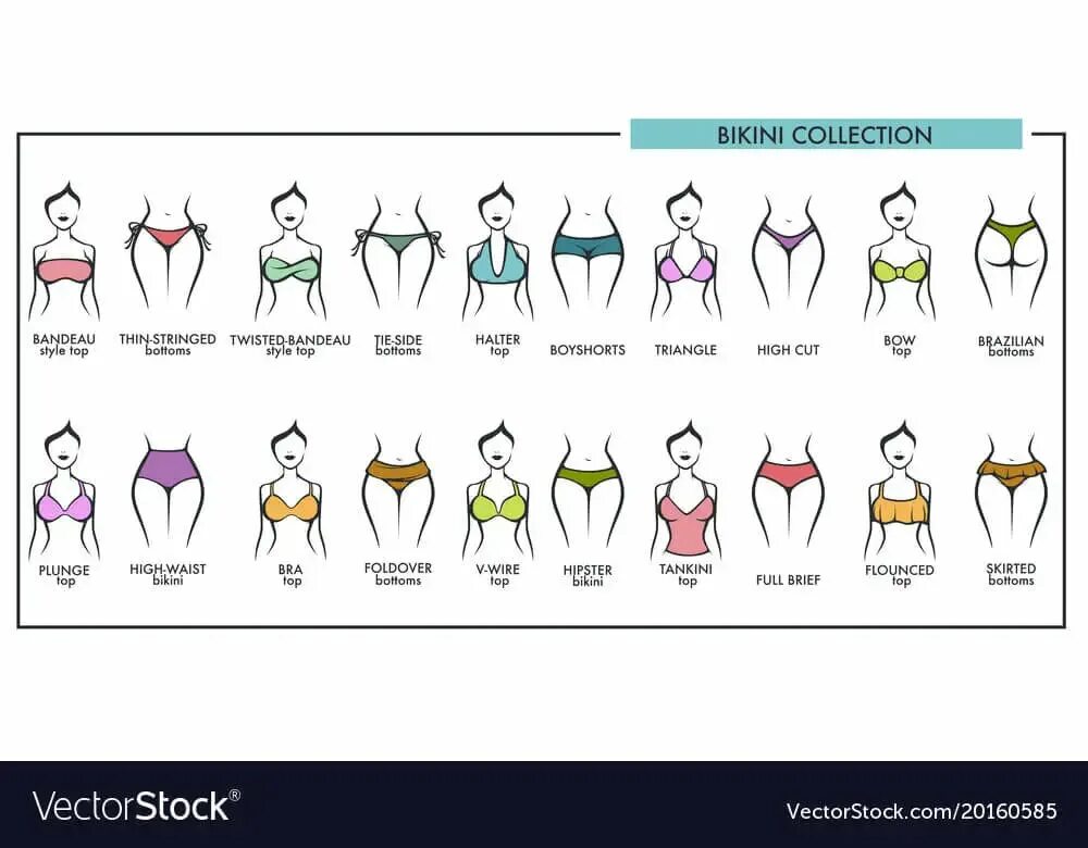 Bottom type. Типы бикини. types of bikini. different type of bikini. все виды бикини и их названия.