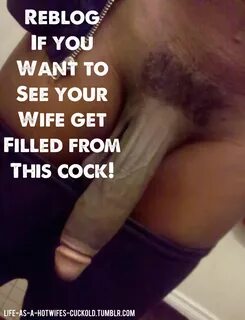 Life as a hotwife's cuckold. 