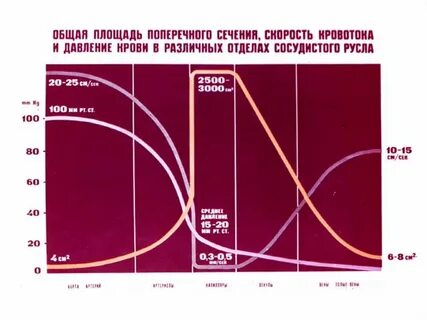 Изменение объема в процентах