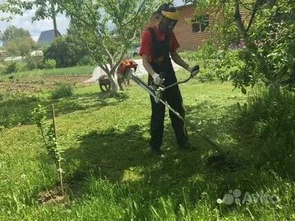 Сколько скосить 1 сотка триммером